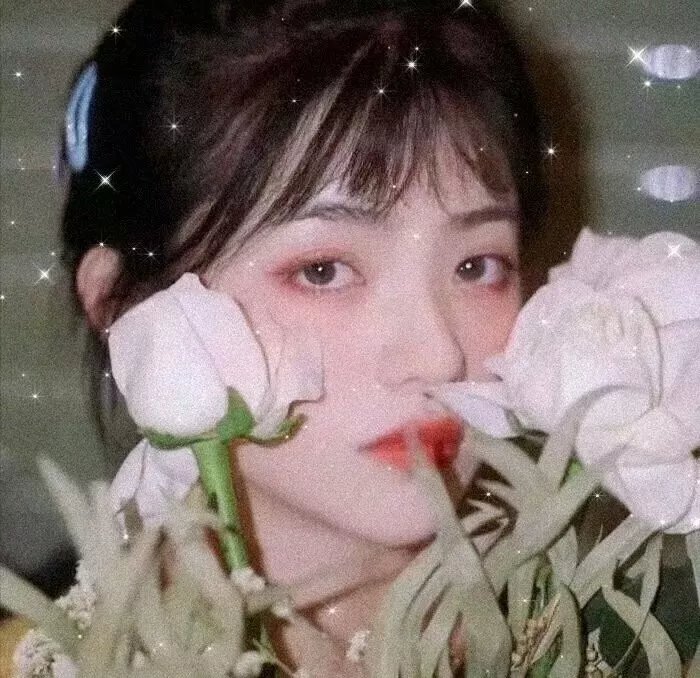 女人国的污染报告